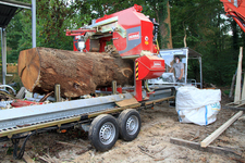 Mobilsäge Spiegelhalter > Bis zu einem Durchmesser von
1,30 m x 1,50 m kann jeder Stamm gesägt werden